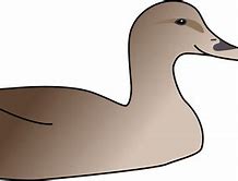 Image result for Clip Art Cartoon White Duck