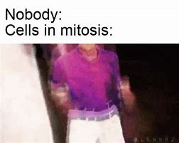 Image result for Humans Undergoing Mitosis Meme