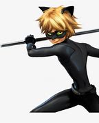 Image result for Cat Noir Cool