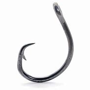 Image result for circle fish hook