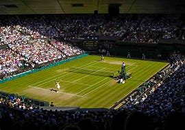 Image result for Chris Evert Wimbledon