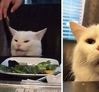 Image result for Confused Screaming Meme Cat