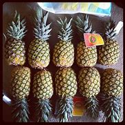 Image result for Sack of Pine Apple