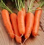 Image result for Mini Carrots