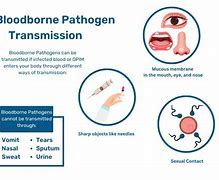 Image result for Bloodborne Pathogens PPE
