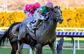 Image result for Horse Racing Kentucky Derby Photo From in the Crowd