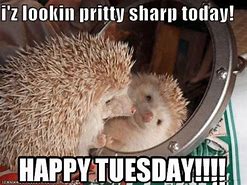 Image result for Funny Super Tuesday