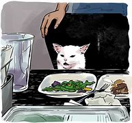 Image result for Cat Sitting at Table Meme