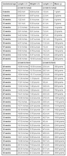 Growth Chart Fetal Length And Weight Week By Week Baby