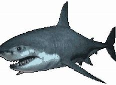 Image result for LEGO BAPE Shark