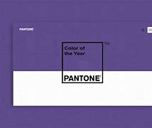 Image result for Pantone BlackBerry Purple