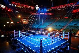 Image result for Boxing Ring Product