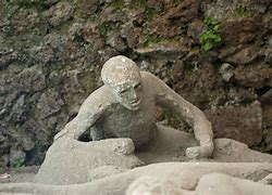 Image result for Pompeii Fossil People