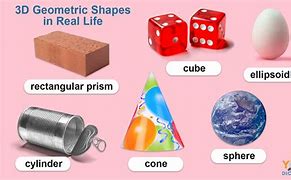 Image result for Real Life Shapes