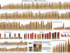 Image result for Rifle Bullet Size Comparison Chart