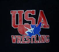 Image result for USA Wrestling Logo