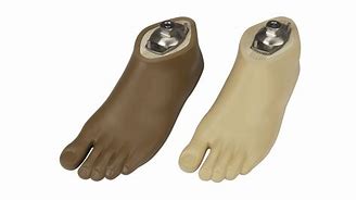 Image result for Artificial Foot