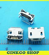 Image result for Lightning Cable Charging Pins