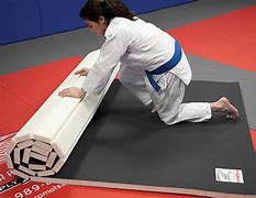 Image result for Jiu Jitsu Roll Mats