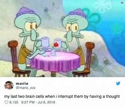 Image result for Best Friend Brain Cells Meme