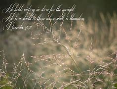 Image result for Proverbs 2 Verse 7