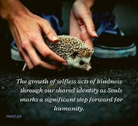 Image result for Selfless Acts of Kindness