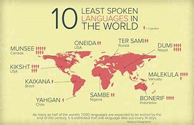 Image result for How Many Languages Are in the World