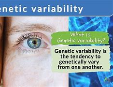 Image result for Genetic Variability