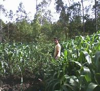 Image result for agropeduario