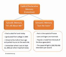 Image result for Memory Types Psychology