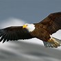 Image result for 3D Eagle Screensaver