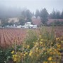 Image result for Rainbow Orchards Apple Hill CA