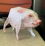 Image result for Domestic Pig 3D Papercraft