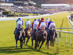 Image result for Goodwood Horse Racing