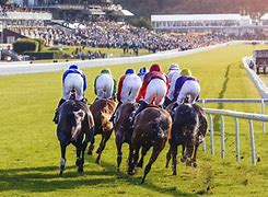 Image result for Goodwood Horse Racing Circuits