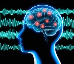 Image result for Seizure Brain Waves