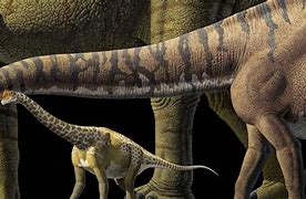 Image result for The World Largest Dinosaur