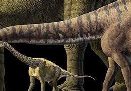 Image result for What Is the Biggest Dinosaur in the World