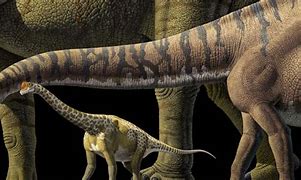 Image result for Which Dinosaur Is the Biggest