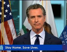 Image result for Gavin Newsom Politician