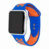 Image result for Custom Apple Watch Bands