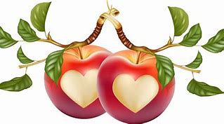 Image result for Apple Heart Clip Art