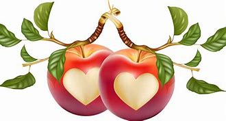 Image result for Apple with a Heart Design