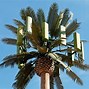 Image result for 5G Cell Tower Tree