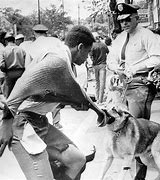 Image result for 1960 Bloody Man Japan Protest