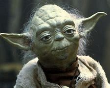Image result for Yoda with Hair