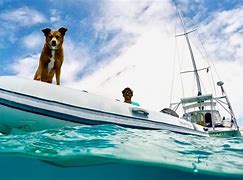 Image result for Sailing Life Bahamas