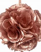 Image result for Silky Rose Gold