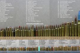 Image result for Pistol Caliber Size Comparison Chart