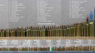 Image result for Rifle Case Chart